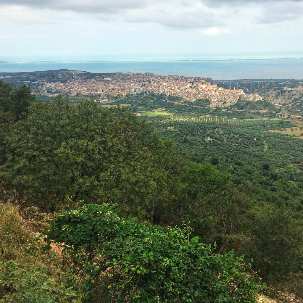 The Gargano countryside.